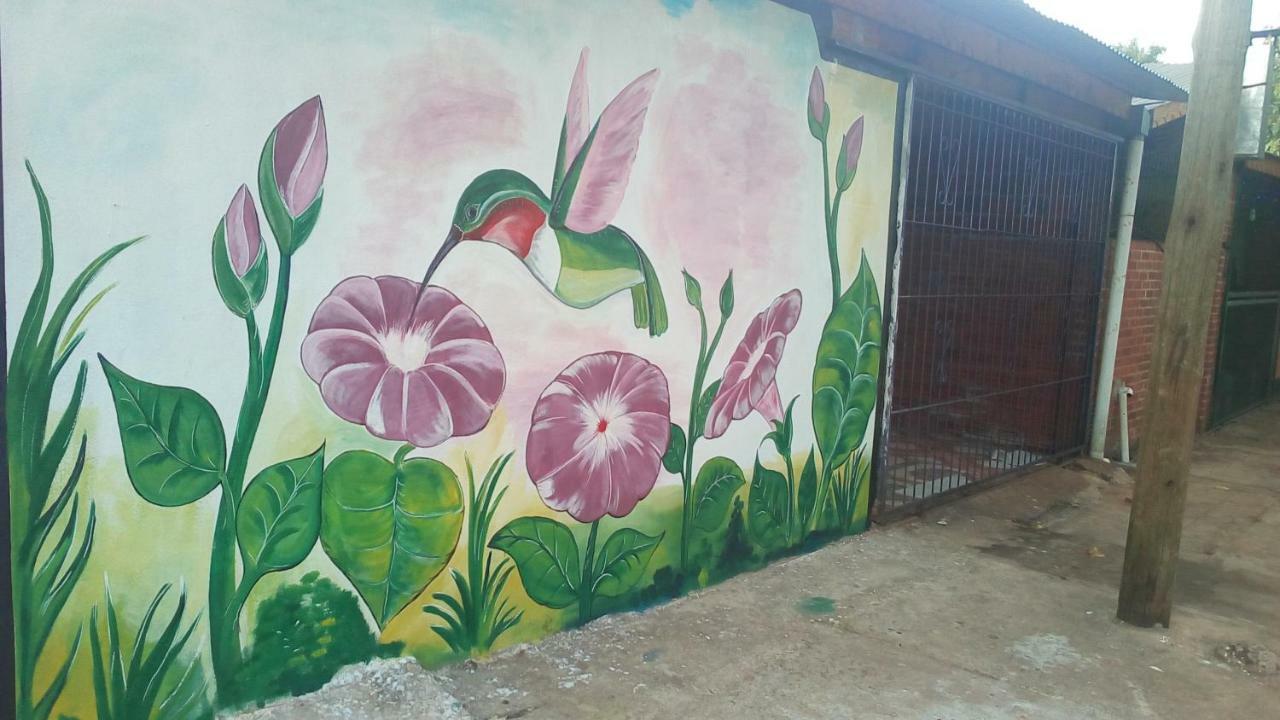 Alojamiento Picaflor Iguazu Hostel ปูแอร์โตอีกวาซู ภายนอก รูปภาพ