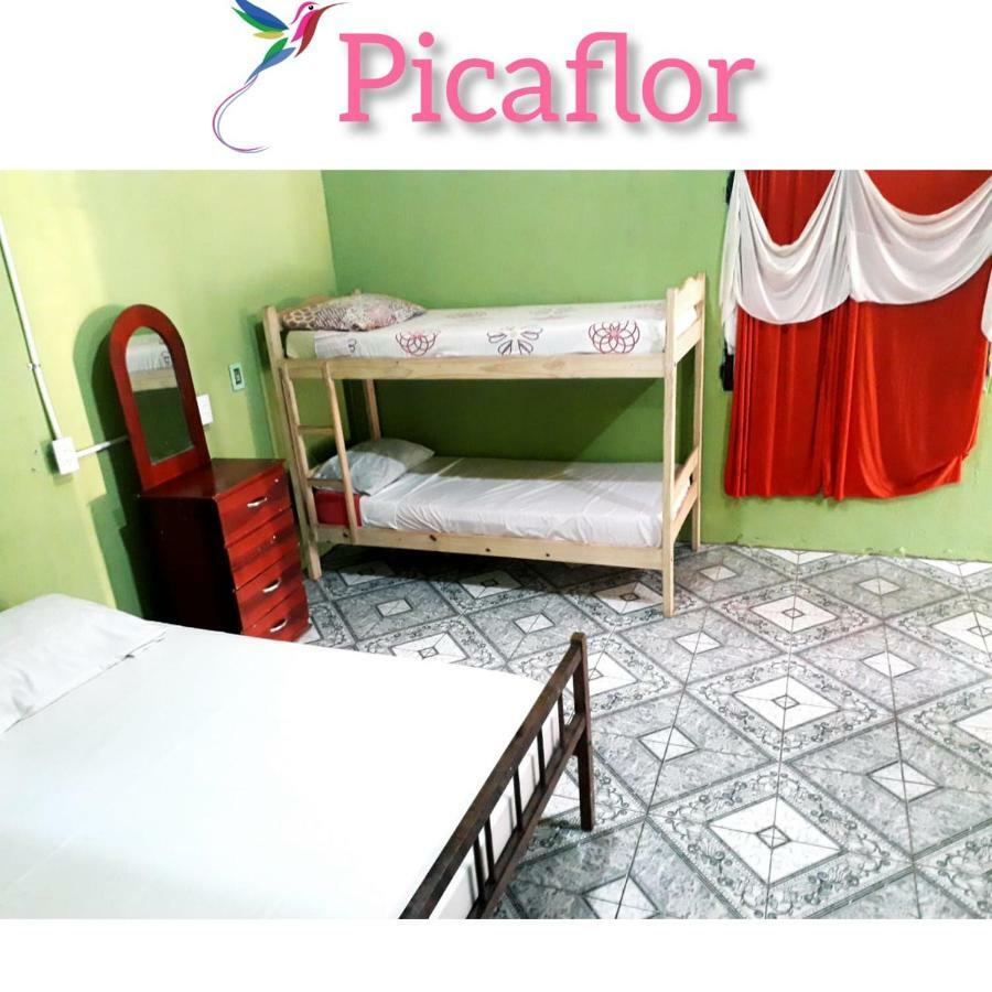 Alojamiento Picaflor Iguazu Hostel ปูแอร์โตอีกวาซู ภายนอก รูปภาพ